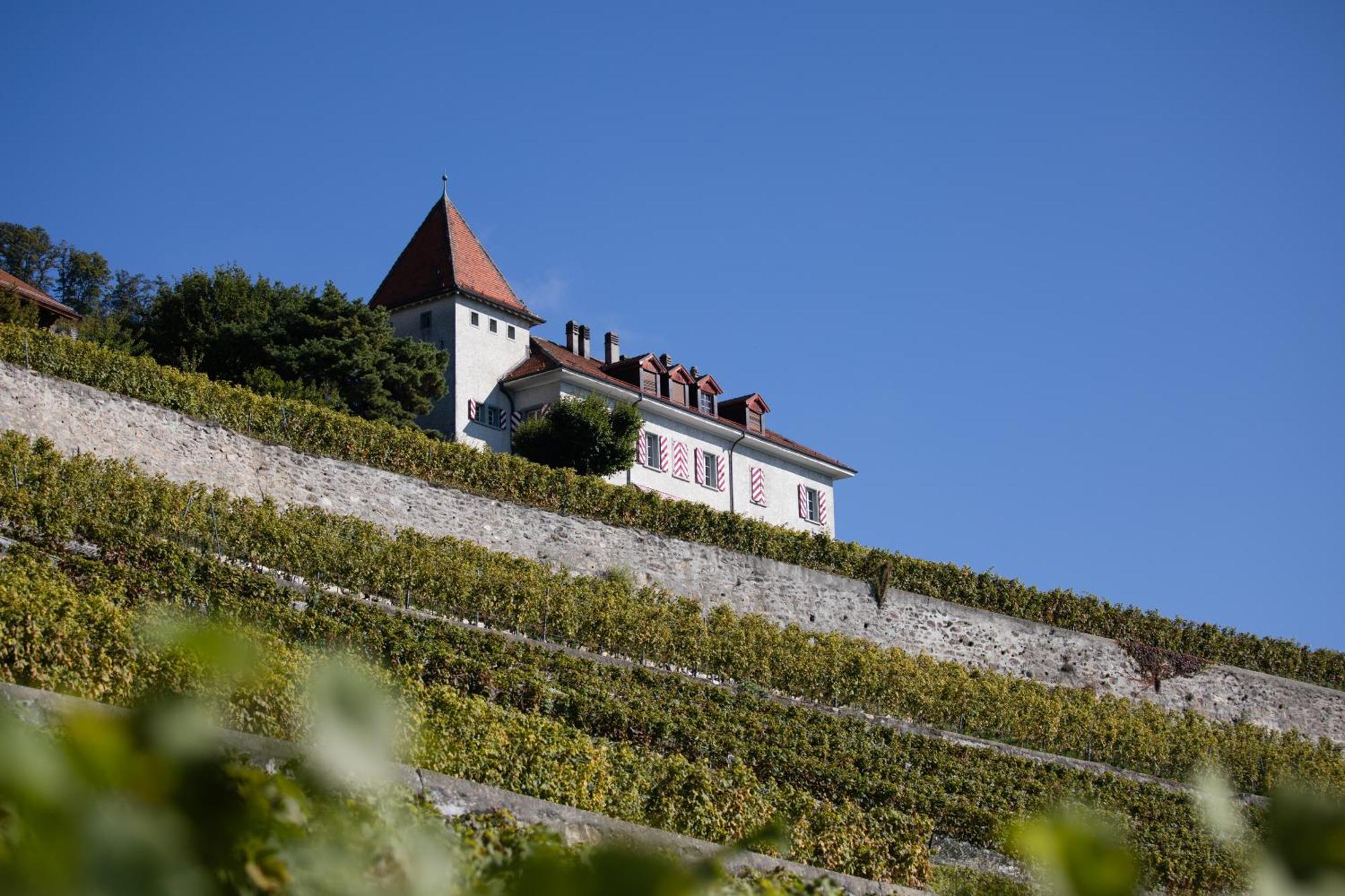 Domaine Du Burignon Hotel Saint-Saphorin Kültér fotó