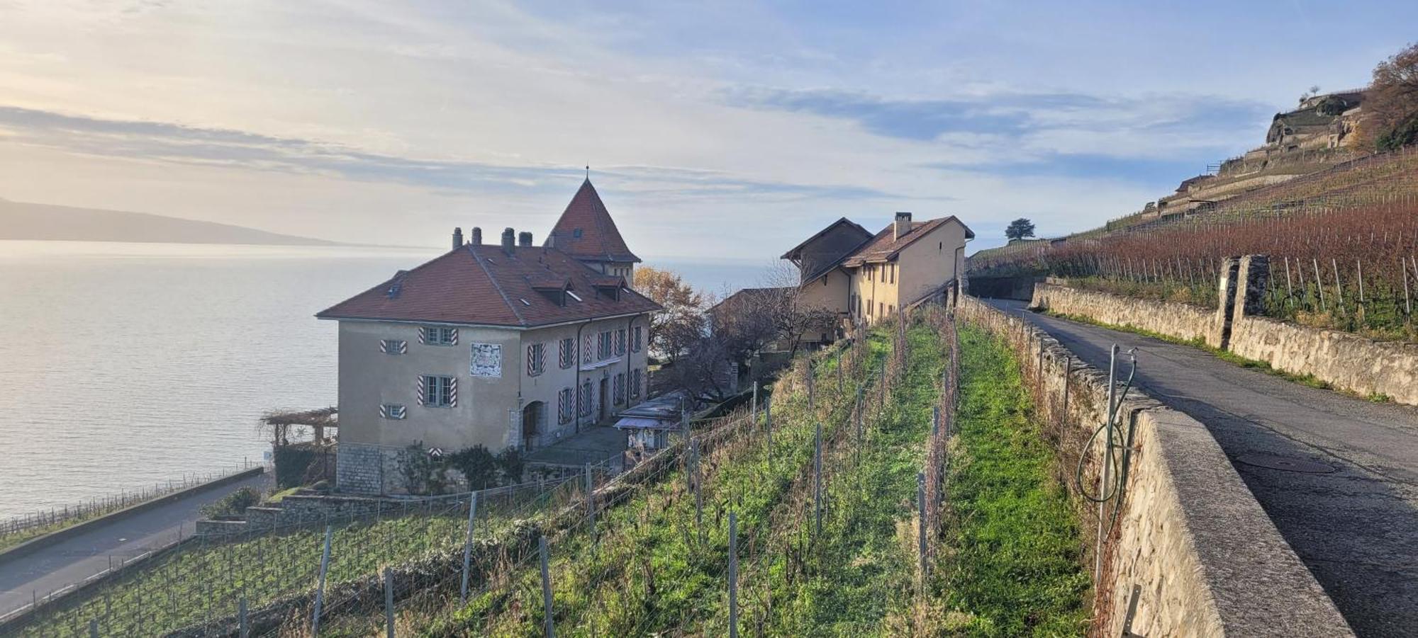 Domaine Du Burignon Hotel Saint-Saphorin Kültér fotó