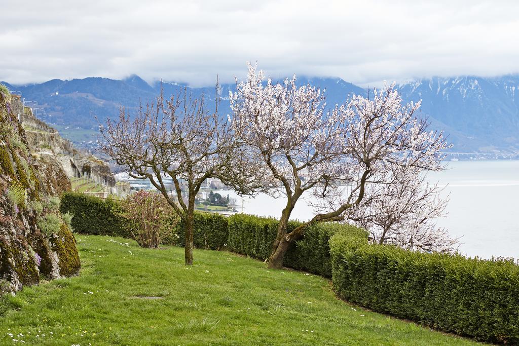 Domaine Du Burignon Hotel Saint-Saphorin Kültér fotó