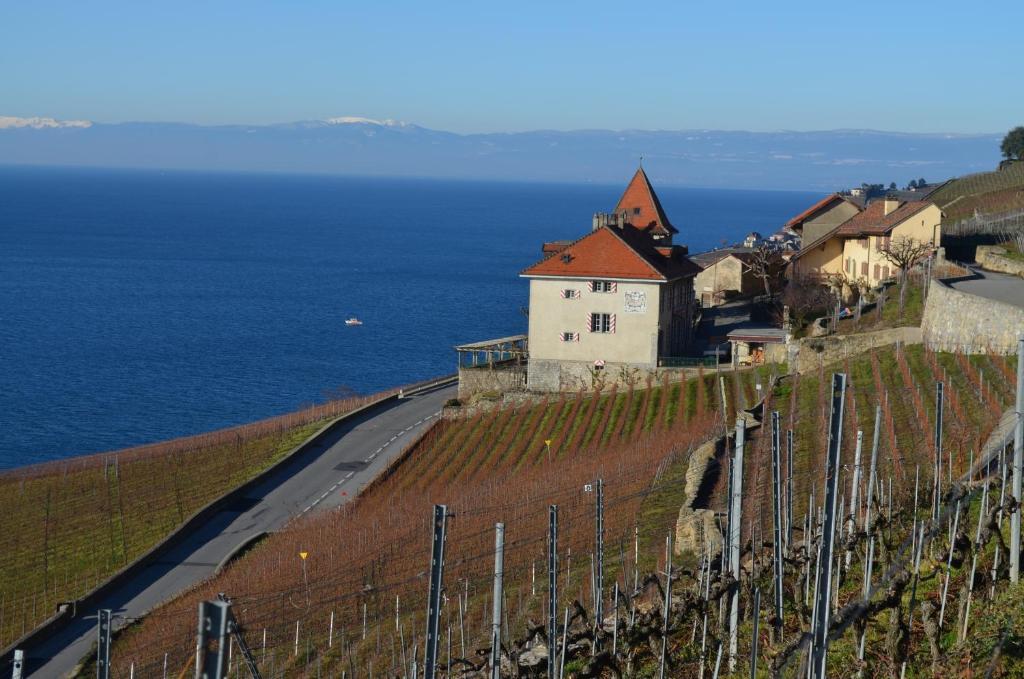 Domaine Du Burignon Hotel Saint-Saphorin Kültér fotó
