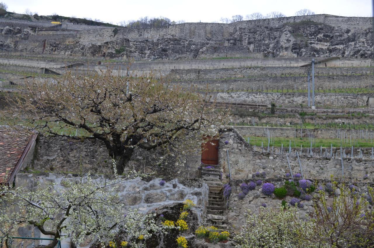 Domaine Du Burignon Hotel Saint-Saphorin Szoba fotó